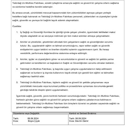 Multirex İş Sağlığı ve Güvenliği